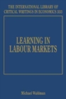 Image for Learning in Labour Markets