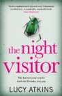 Image for The night visitor