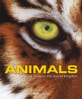 Image for Animals  : a visual guide to the animal kingdom