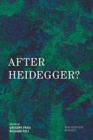 Image for After Heidegger?