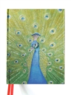 Image for Peacock in Blue and Green (Blank Sketch Book)