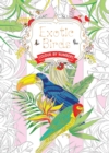 Image for Exotic birds  : colour by numbers
