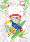 Image for Exotic Birds US : Color by Numbers