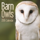 Image for Barn Owls M 2019