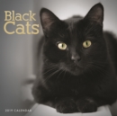 Image for Black Cats W 2019