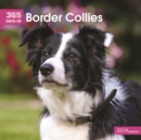 Image for Border Collies 365 Days W 2019