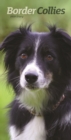 Image for Border Collies Slim D 2019