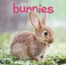 Image for Bunnies M 2019