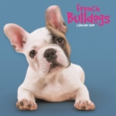 Image for French Bulldogs M 2019