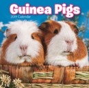 Image for Guinea Pigs M 2019