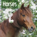 Image for Horses Wiro W 2019