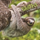 Image for Sloths M 2019