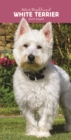 Image for West Highland White Terriers Slim D 2019