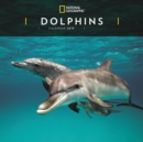 Image for Dolphins Nat Geo W 2019