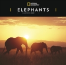 Image for Elephants National Geographic Square Wall Calendar 2020