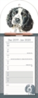 Image for English Springer Spaniel Week-to-View Magnetic Memo Slim Calendar 2020