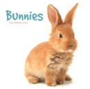 Image for Bunnies Mini Square Wall Calendar 2020