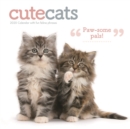 Image for Cute Cats Square Wall Calendar 2020