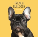 Image for French Bulldog Square Wall Calendar 2020