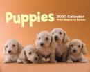 Image for Puppies Mini Box Calendar 2020