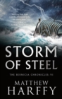 Image for Storm of Steel