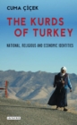 Image for The Kurds of Turkey: national, religious and economic identities