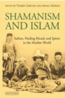Image for Shamanism and Islam: Sufism, Healing Rituals and Spirits in the Muslim World