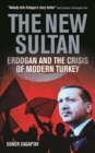 Image for The new sultan: Erdogan and the crisis of modern Turkey