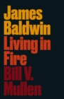 Image for James Baldwin: living in fire