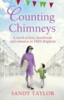 Image for Counting Chimneys