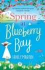 Image for Spring at Blueberry Bay : An utterly perfect feel good romantic comedy