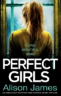 Image for Perfect Girls