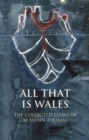 Image for All That Is Wales : The Collected Essays of M. Wynn Thomas