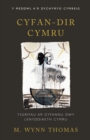 Image for Cyfan-dir Cymru: Ysgrifau ar Gyfannu Dwy Lenyddiaeth Cymru. (Cyfan-dir Cymru)