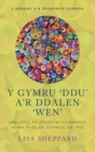 Image for Y Gymru &#39;Ddu&#39; a&#39;r Ddalen &#39;Wen&#39; : Aralledd ac Amlddiwylliannedd mewn Ffuglen Gymreig, er 1990