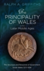 Image for The Principality of Wales in the Later Middle Ages : The Structure and Personnel of Government: South Wales 1277-1536