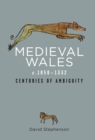 Image for Medieval Wales c.1050-1332: centuries of ambiguity