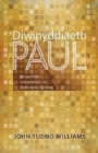 Image for Diwinyddiaeth Paul : Gan Gynnwys Sylw Arbennig i&#39;w Ddehonglwyr Cymreig