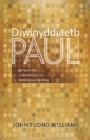 Image for Diwinyddiaeth Paul: Gan Gynnwys Sylw Arbennig i&#39;w Ddehonglwyr Cymreig
