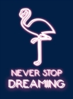Image for Never Stop Dreaming