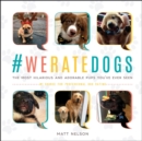 Image for #WeRateDogs: the most adorable and hilarious pups you&#39;ve ever seen