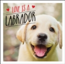 Image for Love is a Labrador