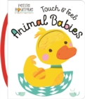 Image for TOUCH AND FEEL ANIMAL BABIES