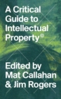 Image for A critical guide to intellectual property