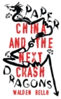 Image for Paper dragons  : China and the next crash