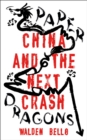 Image for Paper dragons  : China and the next crash