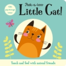 Image for Peek-a-boo Little Cat!