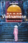 Image for Vietnamese phrasebook