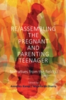 Image for Re/Assembling the Pregnant and Parenting Teenager: Narratives from the Field(s)