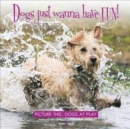 Image for Dogs just wanna have fun!  : picture this